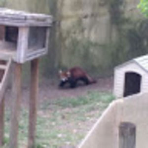 Meet your Posher, Katelyn